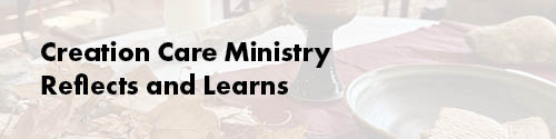 Creation Care Ministry Reflects and Learns