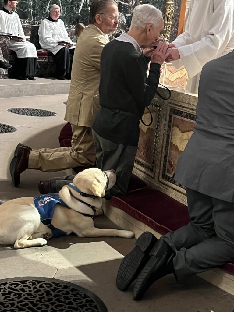 Parishioner John Lemly captured this photo of Ralph Hughes and guide-dog-in-training Nicholas at communion on Sun., Nov. 23. Ralph is a six-year volunteer for NEADS (neads.org), formerly known as National Education for Assistance Dog Services and Dogs for Deaf and Disabled Americans. Nicholas is the sixth dog that he has helped to raise and train; teaching Nicholas commands and also socializing him in many different situations (grocery shopping, restaurants, church services, etc.). As a Eucharistic Visitor, Ralph had taken Nicholas to a nursing home to visit a Trinity parishioner. Nicholas has now moved forward to the next stage of guide dog training.  Ralph hopes to begin another round of training with a young puppy in the new year.