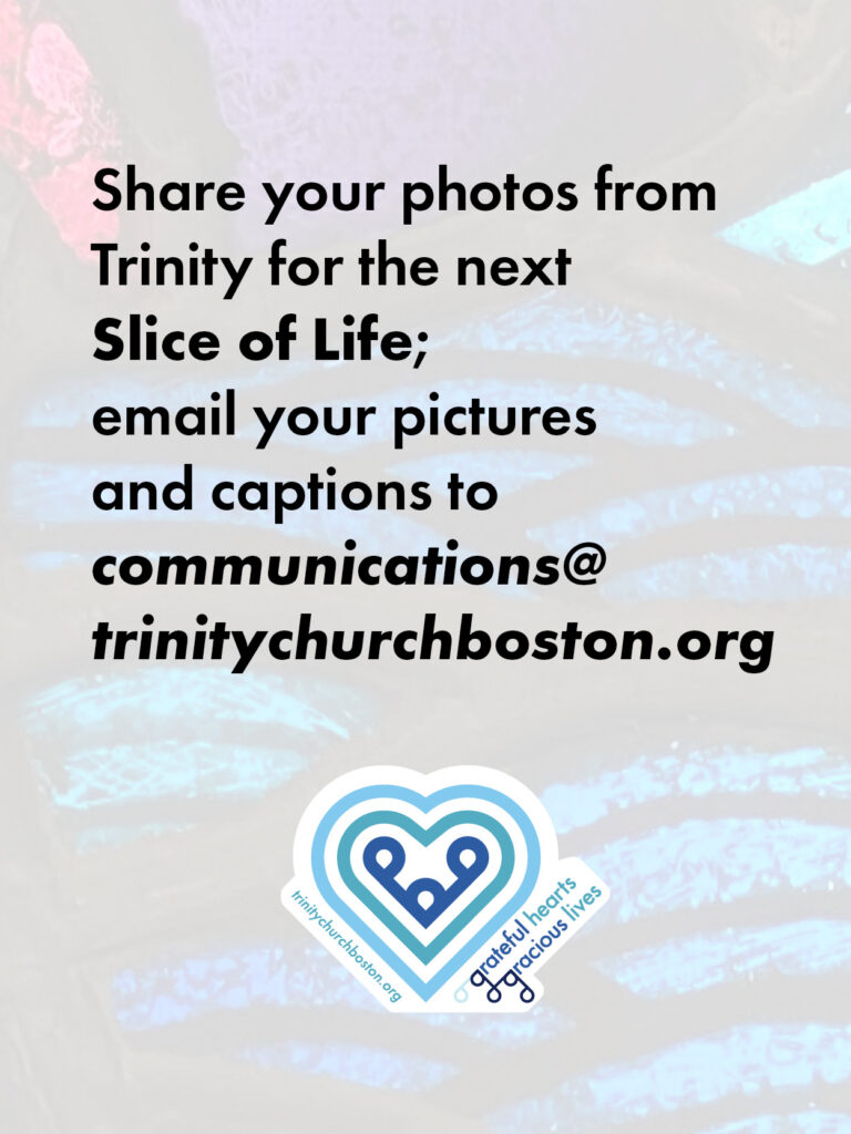 Slice Of Life Pitch 01